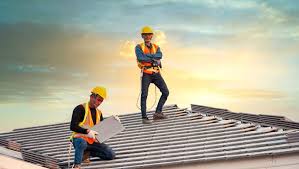 Best Roof Moss and Algae Removal  in Wren, AR